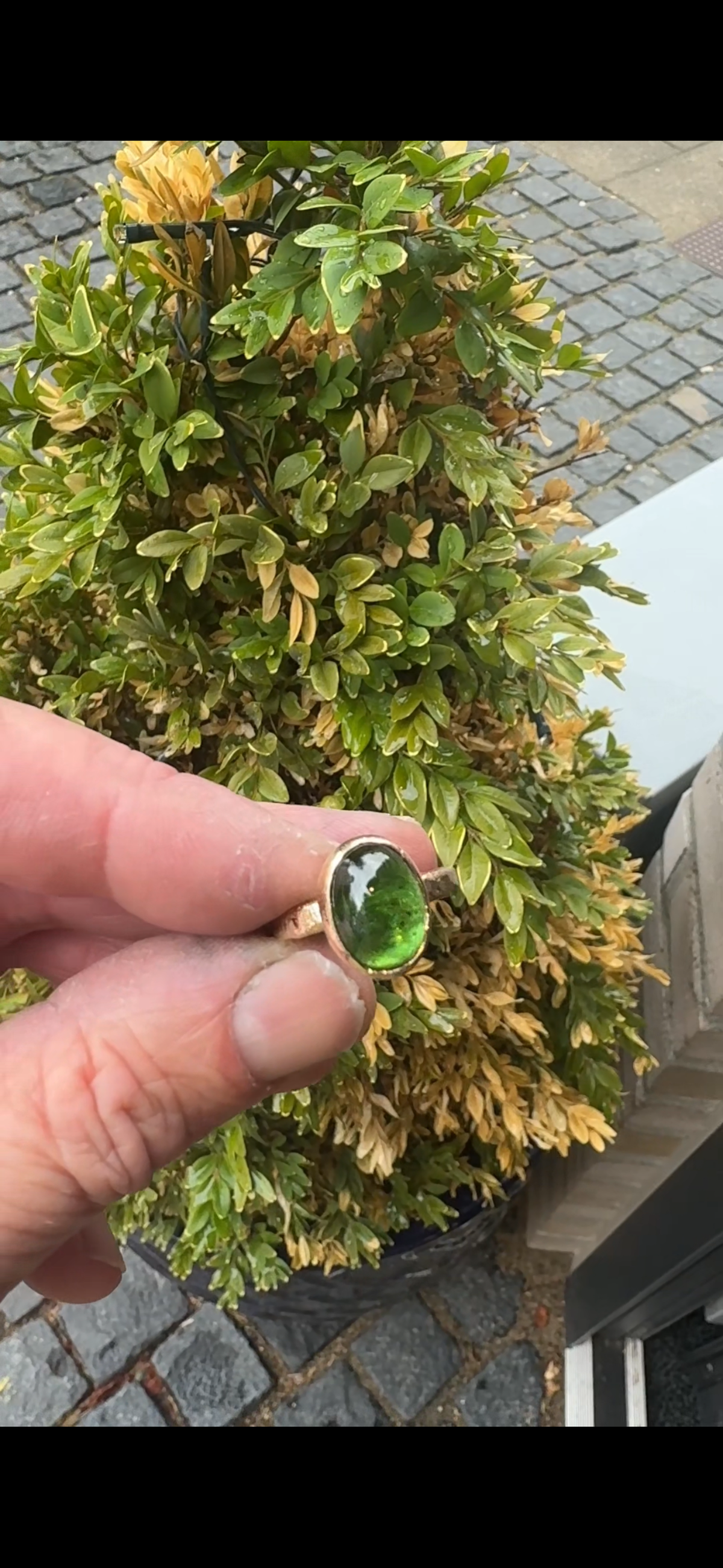 14 kt guldring med grøn turmalin